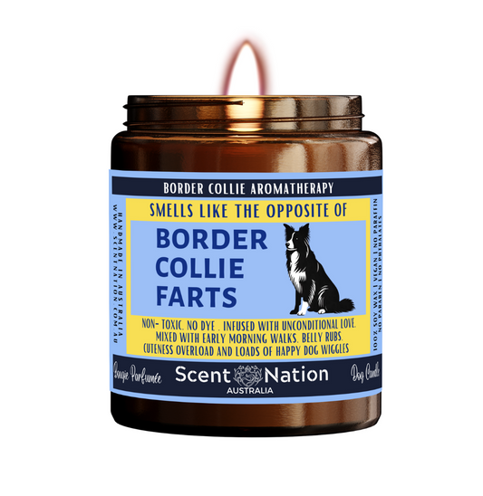 Gifts for Dog Lovers Dog Gifts for Dog Lovers Best Gifts for Dog Lovers Australia House of Pets Scent Nation Australia