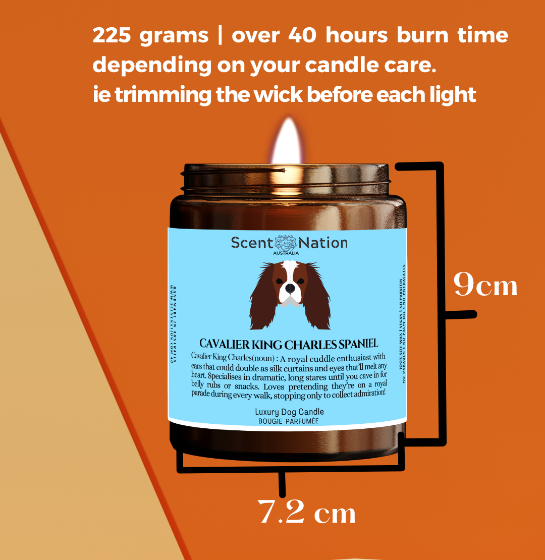 Pet CANDLE FOR DOGS, Pet Odour Eliminator candle