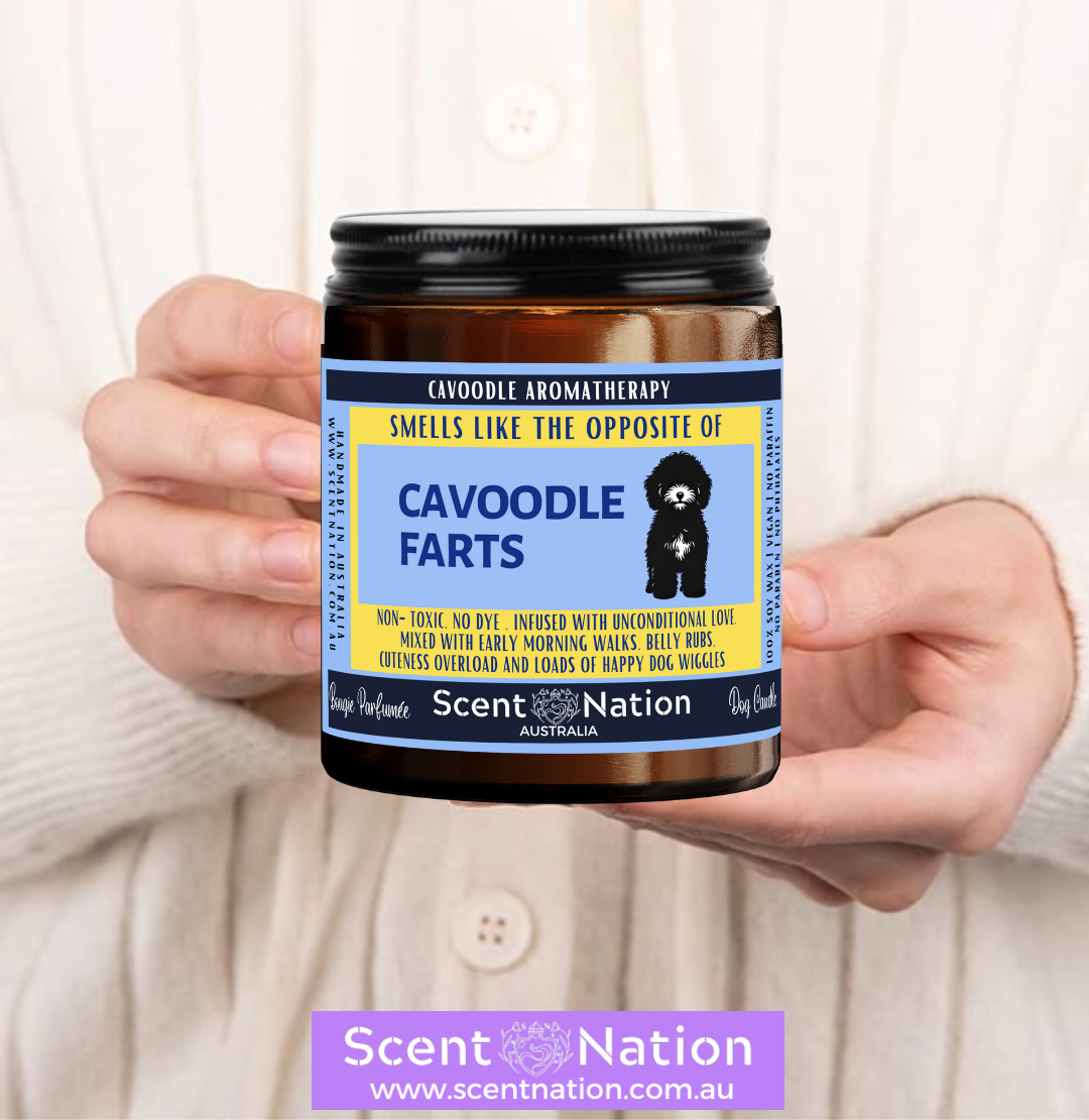 Non-Toxic Candles for Dog Owners, Sustainable Soy Candles for Pet Lovers, Calming Soy Candles for Dog Owners, Dog Groomers, Dog lovers
