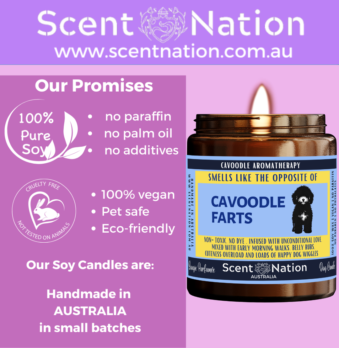 Australian Soy Candles, Soy Candles for Dog Lovers, Pet-Safe & Eco-Friendly Candles