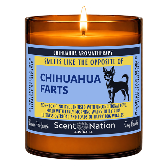 Chihuahua gifts – Chihuahua Farts dog fart candle: lit Large 285 g soy candle in an amber jar, blue and yellow ‘Smells like the opposite of Chihuahua farts’ label, Scent Nation Australia