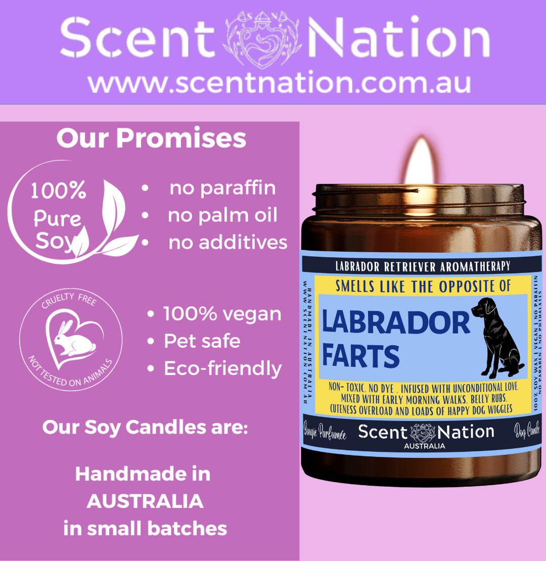 Australian Soy Candles, Soy Candles for Dog Lovers, Pet-Safe & Eco-Friendly Candles