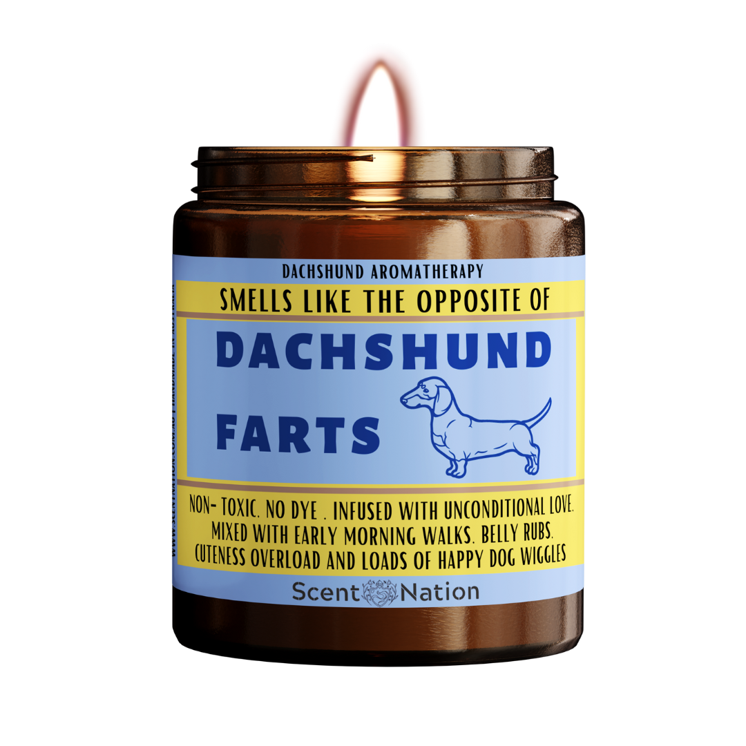 Dachshund Candle- perfect gift for dachshund lovers in Australia