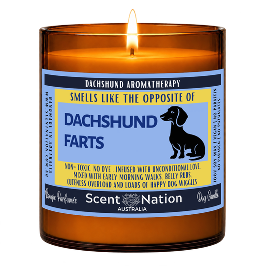 Sausage dog gifts Australia – Dachshund Farts dog fart candle: lit Large 285 g soy candle in an amber jar, blue and yellow ‘Smells like the opposite of Dachshund farts’ label, Scent Nation Australia