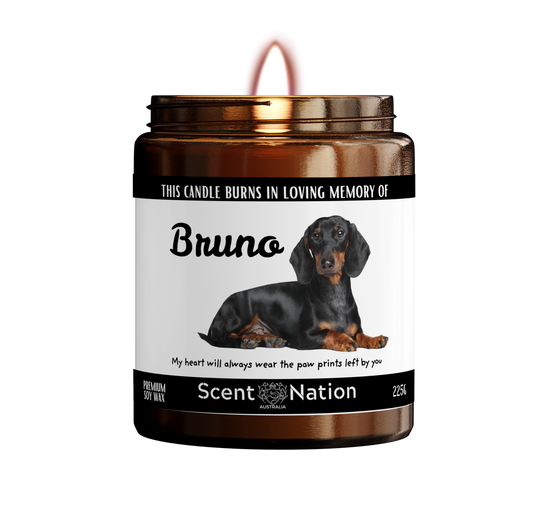 personalised pet memorial candle with photo and name in loving memory pet loss gift australia dog memorial gift grief gif