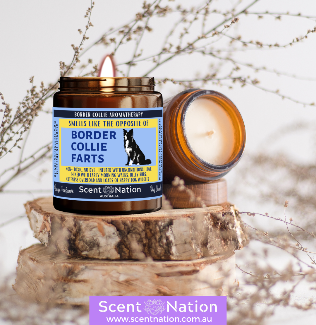 Stress Relief Soy Candles, Soy Candles for Relaxation, Pet-Safe & Eco-Friendly Candles