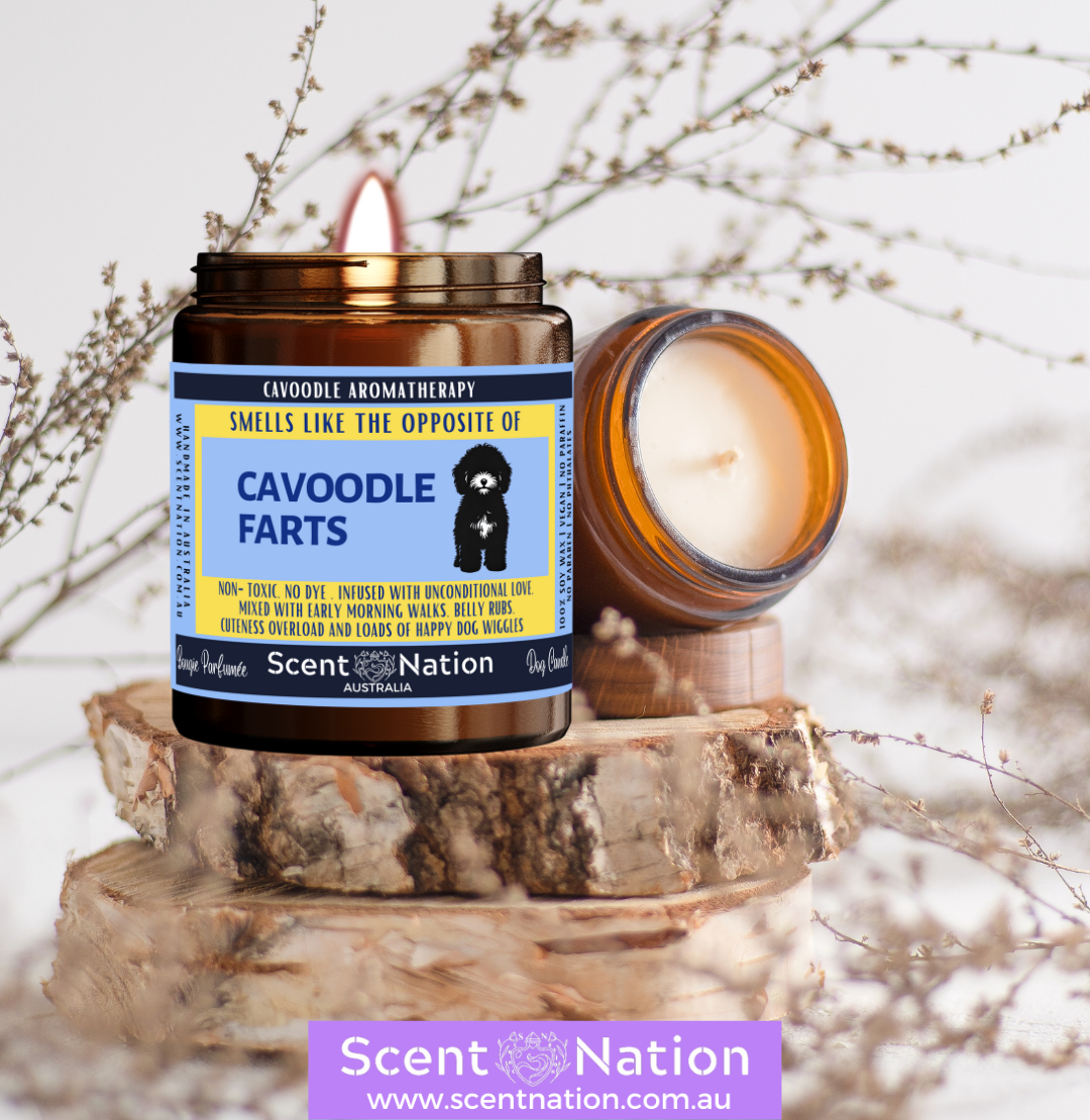 Stress Relief Soy Candles, Soy Candles for Relaxation, Pet-Safe & Eco-Friendly Candles