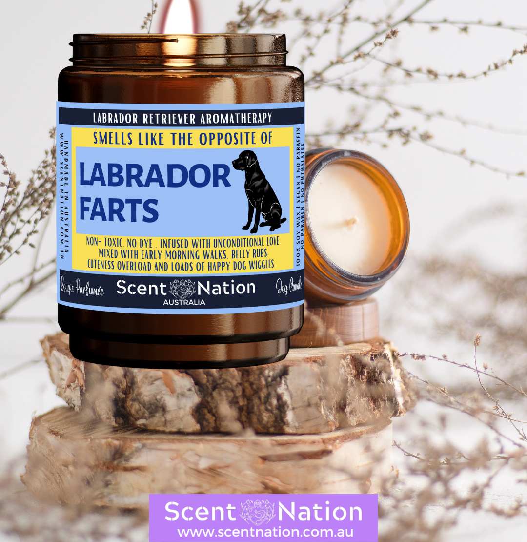 Pet-Friendly Home Décor Candles: Stylish, modern soy candles designed to fit in a dog lover’s home décor