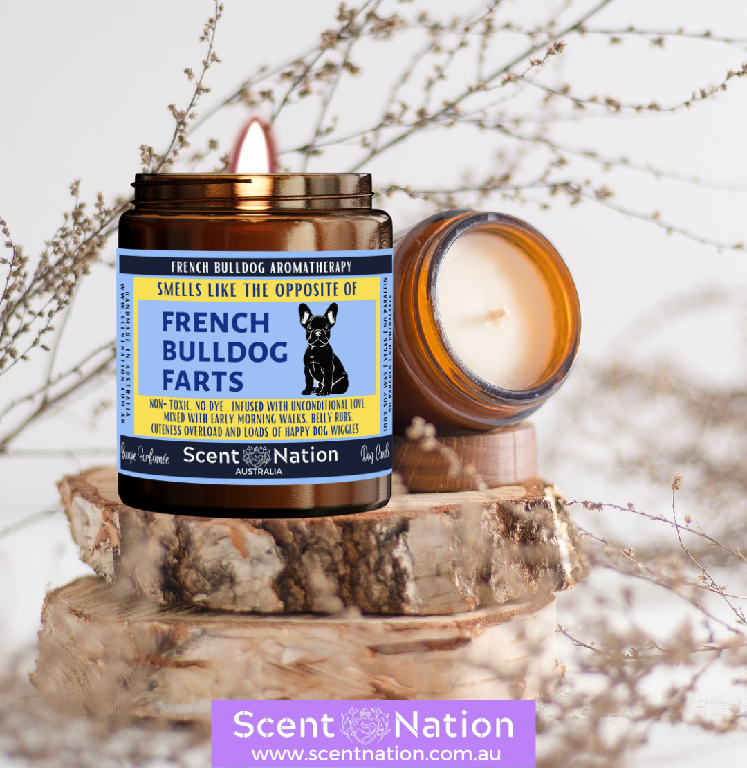 Stress Relief Soy Candles, Soy Candles for Relaxation, Pet-Safe & Eco-Friendly Candles