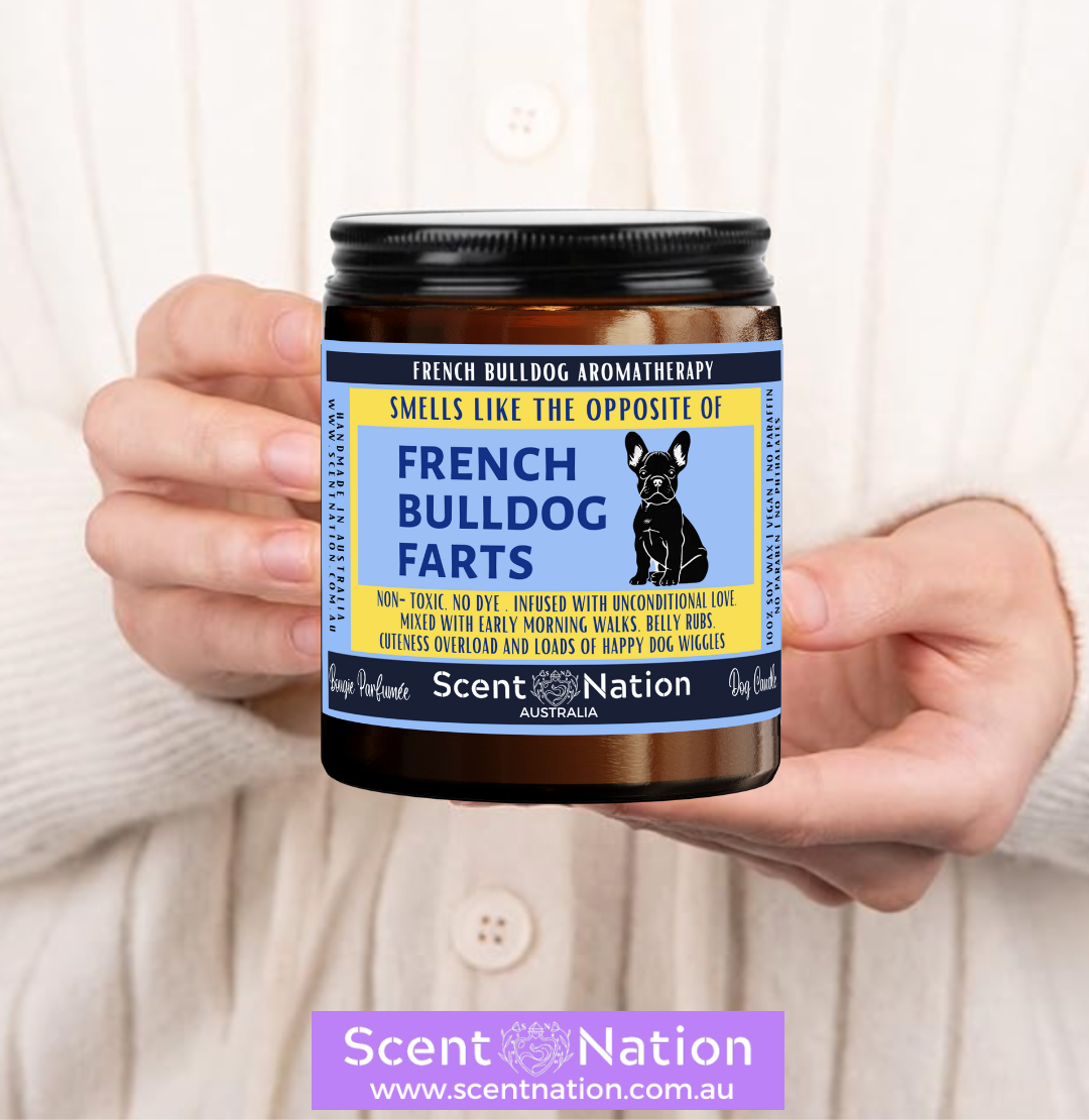 Non-Toxic Candles for Dog Owners, Sustainable Soy Candles for Pet Lovers, Calming Soy Candles for Dog Owners, Dog Groomers, Dog lovers