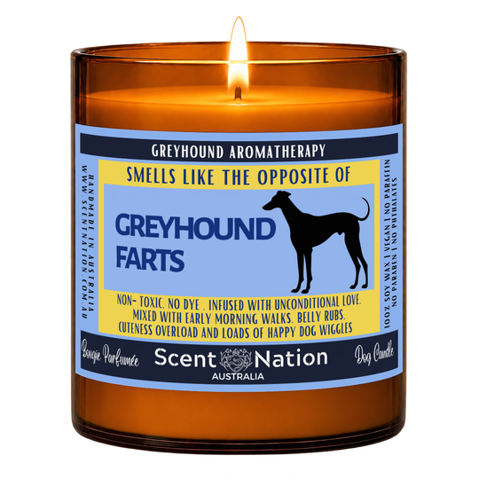 Greyhound dog gifts – Greyhound Farts dog fart candle: lit Large 285 g soy candle in an amber jar, blue and yellow ‘Smells like the opposite of Greyhound farts’ label, Scent Nation Australia