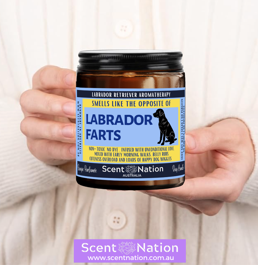 Non-Toxic Candles for Dog Owners, Sustainable Soy Candles for Pet Lovers, Calming Soy Candles for Dog Owners, Dog Groomers, Dog lovers