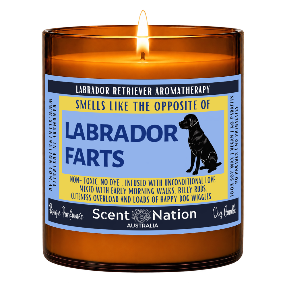 Labrador retriever gifts – Labrador Farts dog fart candle: lit Large 285 g soy candle in an amber jar, blue and yellow ‘Smells like the opposite of Labrador farts’ label, Scent Nation Australia