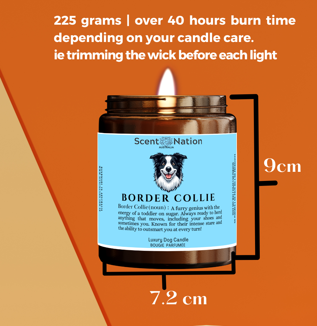 Pet-Friendly Home Décor Candles: Stylish, modern soy candles designed to fit in a dog lover’s home décor