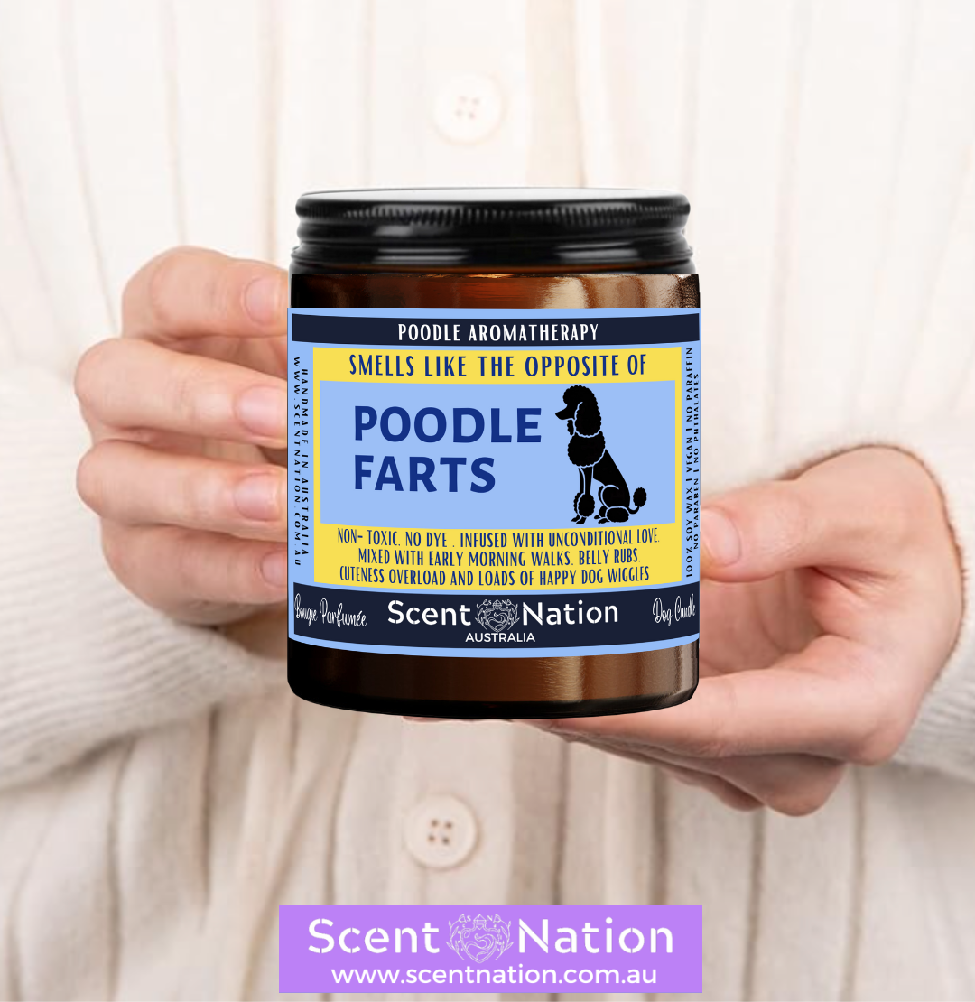 Non-Toxic Candles for Dog Owners, Sustainable Soy Candles for Pet Lovers, Calming Soy Candles for Dog Owners, Dog Groomers, Dog lovers