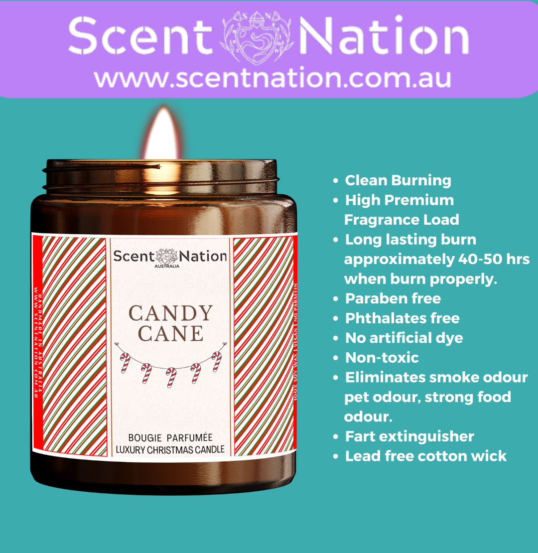 Non-Toxic Candles for Pet Owners, Sustainable Soy Candles for Pet Lovers, Calming Soy Candles for Pet Owners