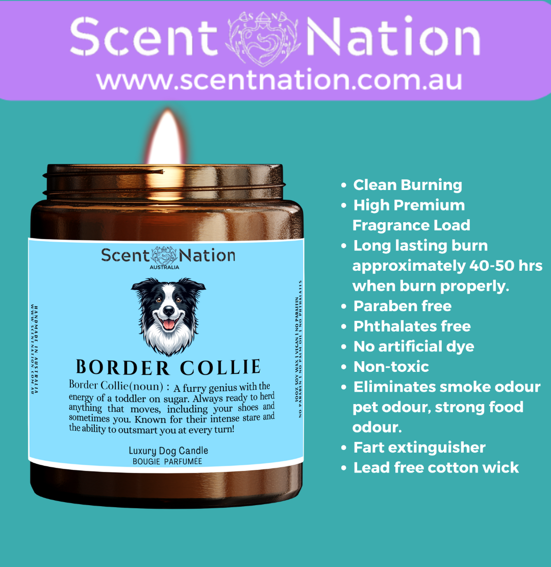 Non-Toxic Candles for Dog Owners, Sustainable Soy Candles for Pet Lovers, Calming Soy Candles for Dog Owners