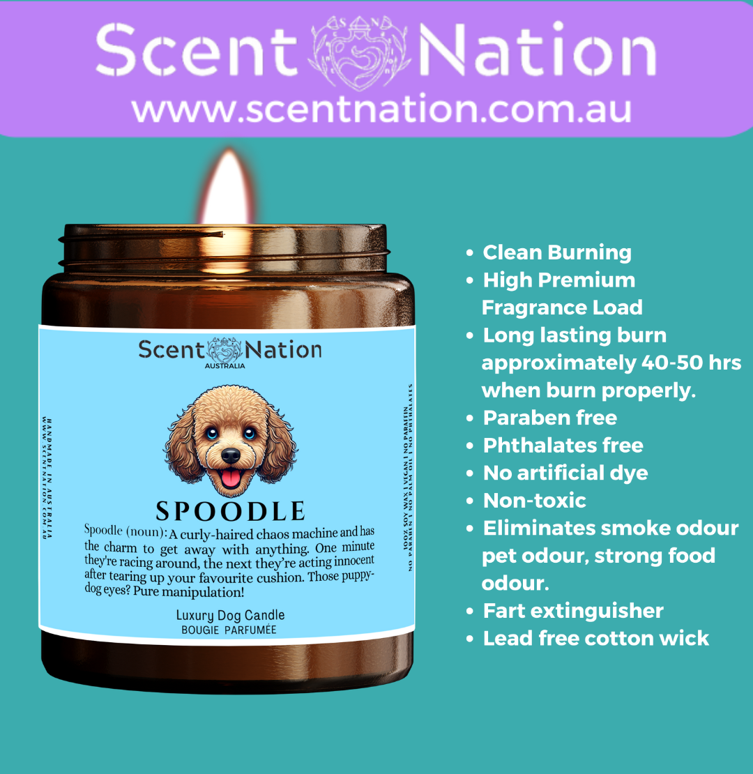 Non-Toxic Candles for Dog Owners, Sustainable Soy Candles for Pet Lovers, Calming Soy Candles for Dog Owners