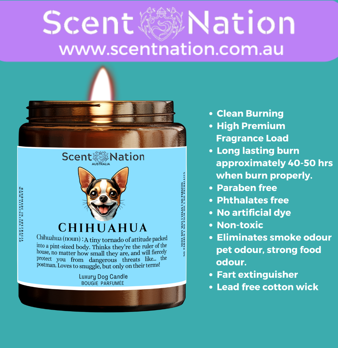 Locally made candles perfect for dog lovers.
Non-toxic and eco-friendly candles safe for homes with pets