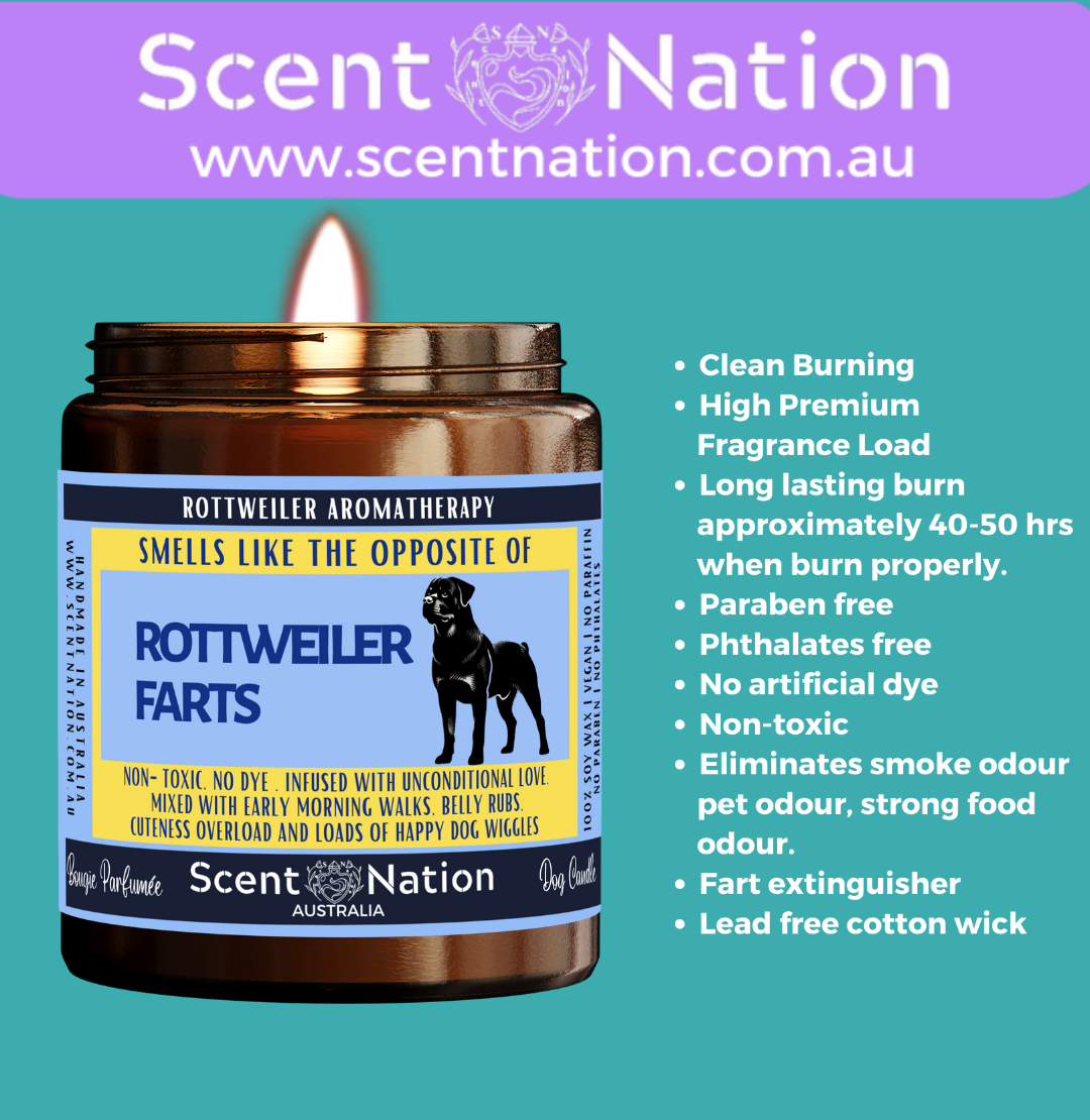 Non-Toxic Candles for Dog Owners, Sustainable Soy Candles for Pet Lovers, Calming Soy Candles for Dog Owners
