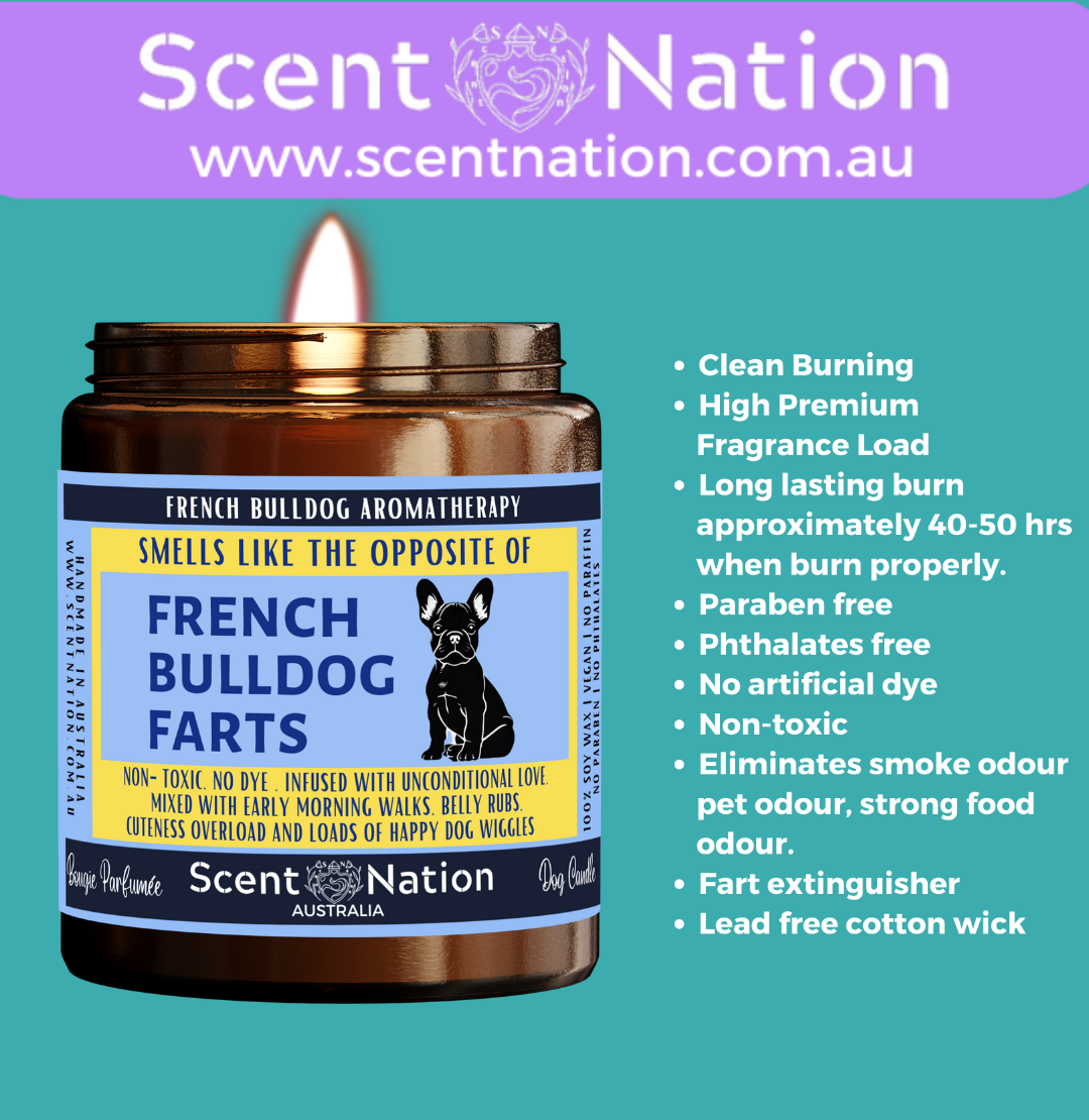 Non-Toxic Candles for Dog Owners, Sustainable Soy Candles for Pet Lovers, Calming Soy Candles for Dog Owners