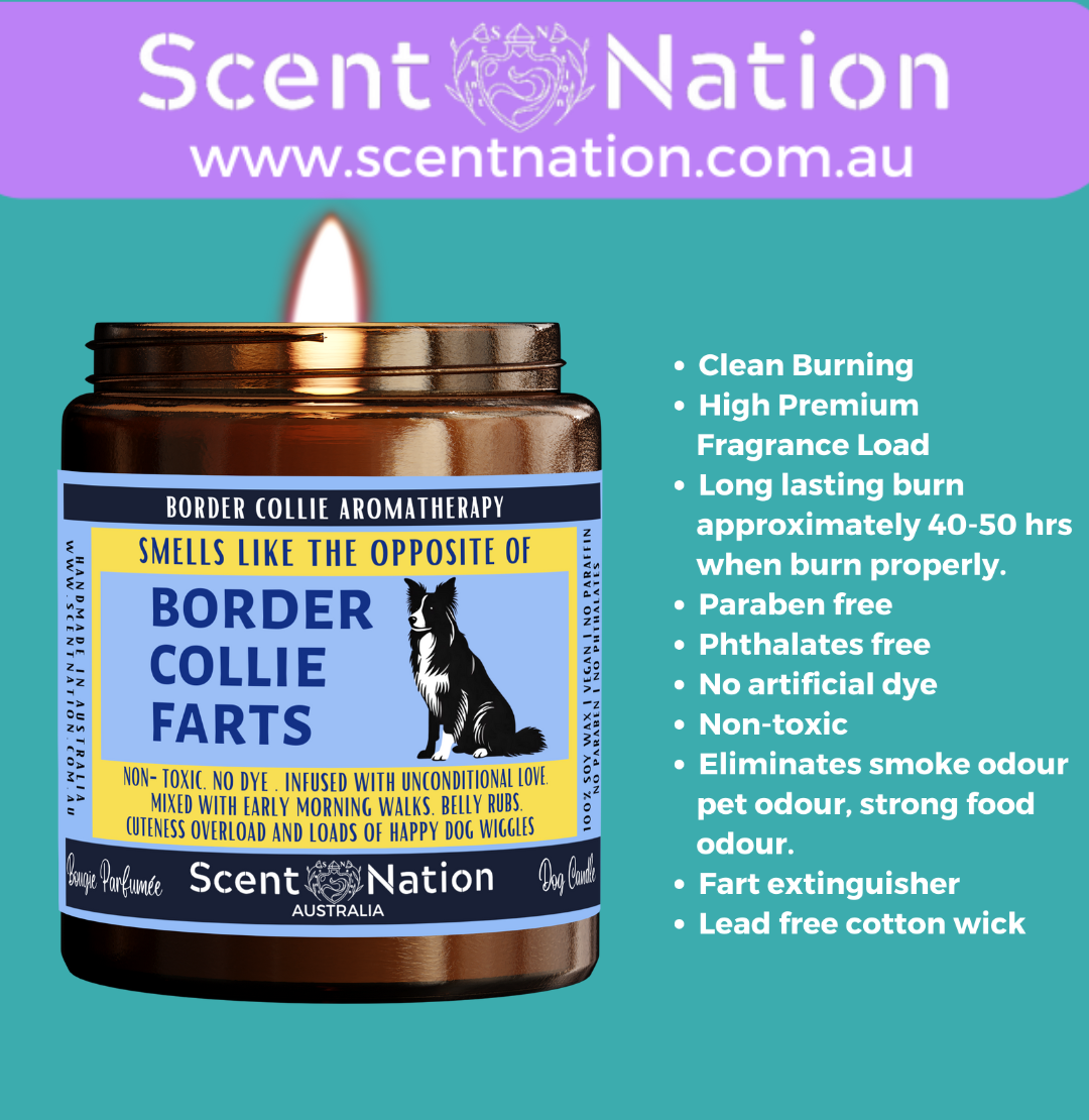 Non-Toxic Candles for Dog Owners, Sustainable Soy Candles for Pet Lovers, Calming Soy Candles for Dog Owners