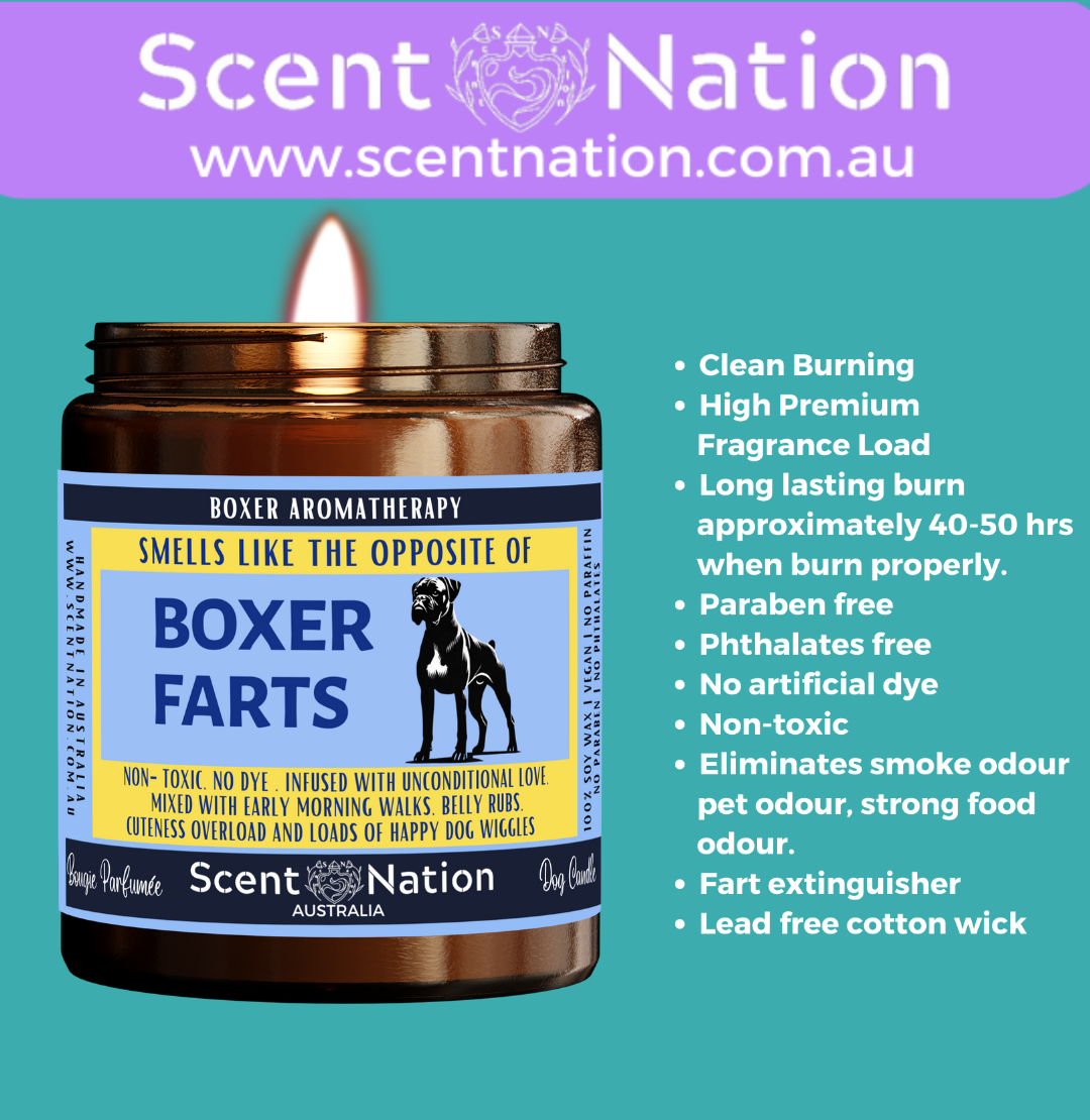 Non-Toxic Candles for Dog Owners, Sustainable Soy Candles for Pet Lovers, Calming Soy Candles for Dog Owners
