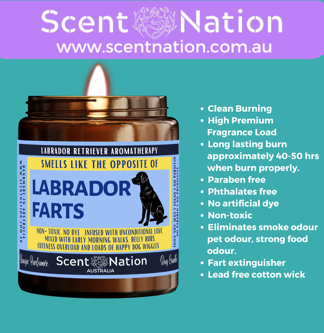 Non-Toxic Candles for Dog Owners, Sustainable Soy Candles for Pet Lovers, Calming Soy Candles for Dog Owners