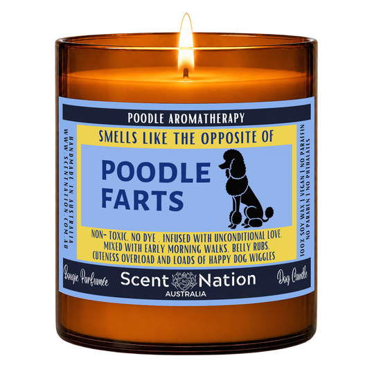 Gifts for poodle lovers – Poodle Farts dog fart candle: lit Large 285 g soy candle in an amber jar, blue and yellow ‘Smells like the opposite of Poodle farts’ label, Scent Nation Australia