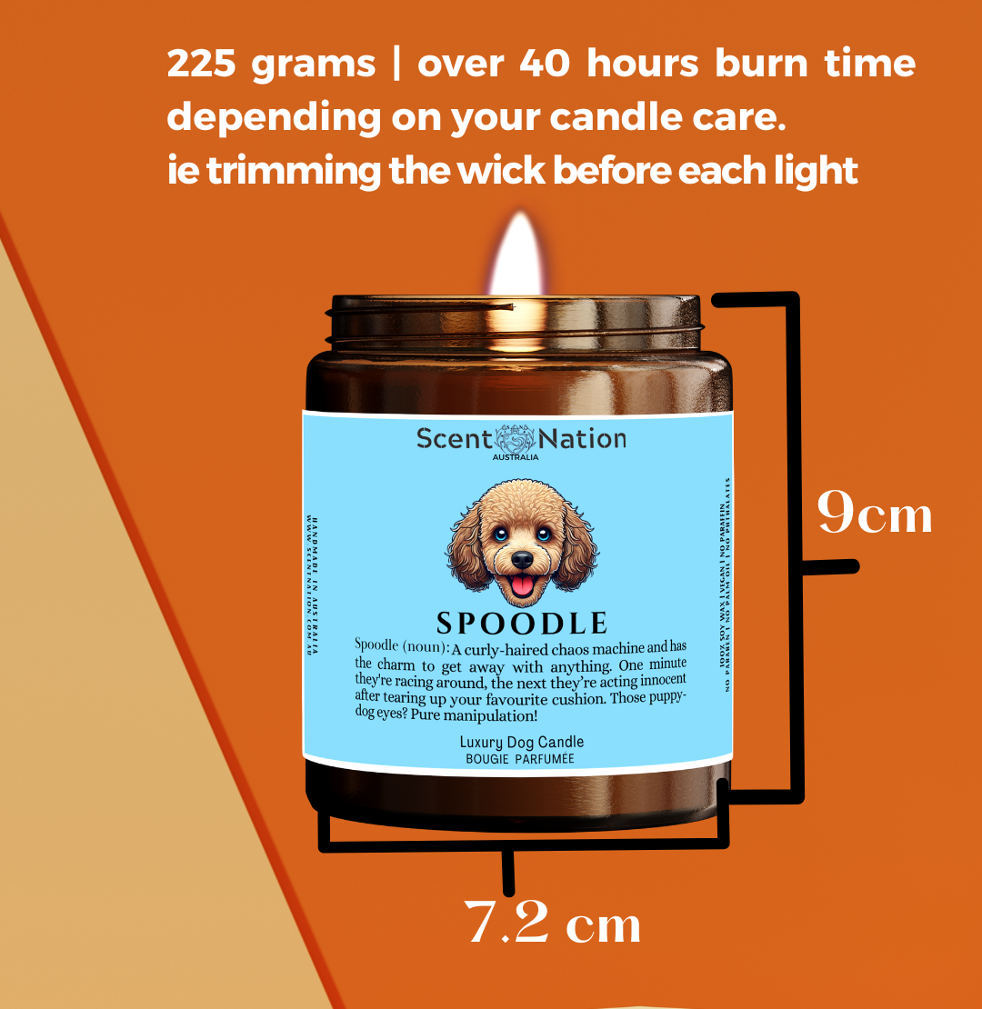 Pet-Friendly Home Décor Candles: Stylish, modern soy candles designed to fit in a dog lover’s home décor