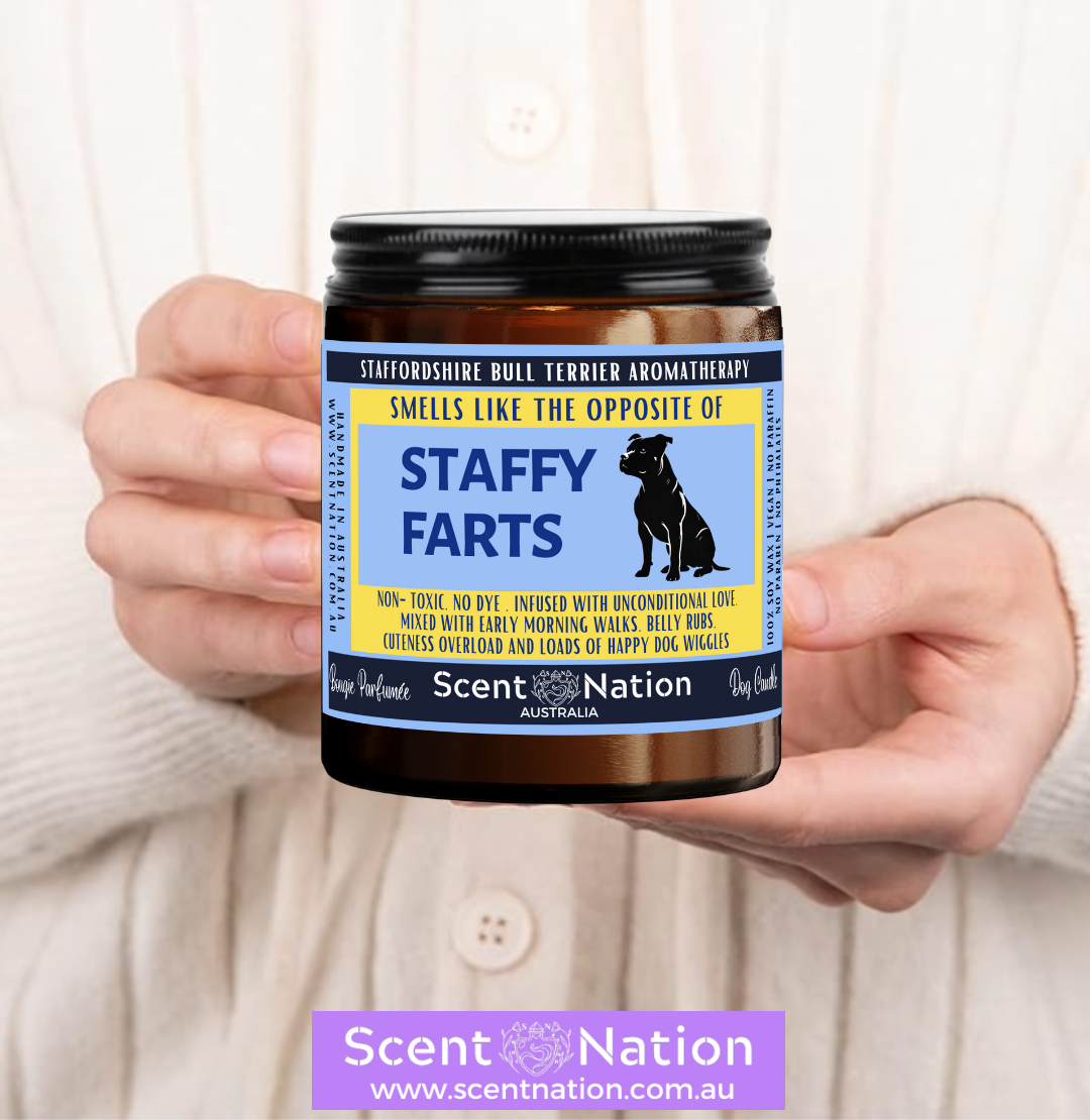 Non-Toxic Candles for Dog Owners, Sustainable Soy Candles for Pet Lovers, Calming Soy Candles for Dog Owners, Dog Groomers, Dog lovers