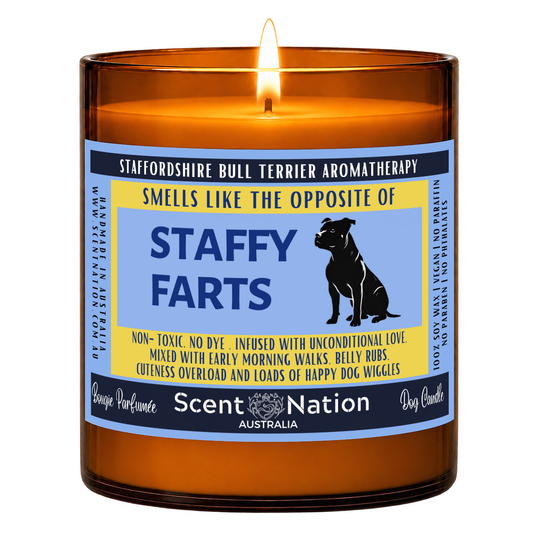 Staffy gifts – Staffy Farts dog fart candle: lit Large 285 g soy candle in an amber jar, blue and yellow ‘Smells like the opposite of Staffy farts’ label, Scent Nation Australia
