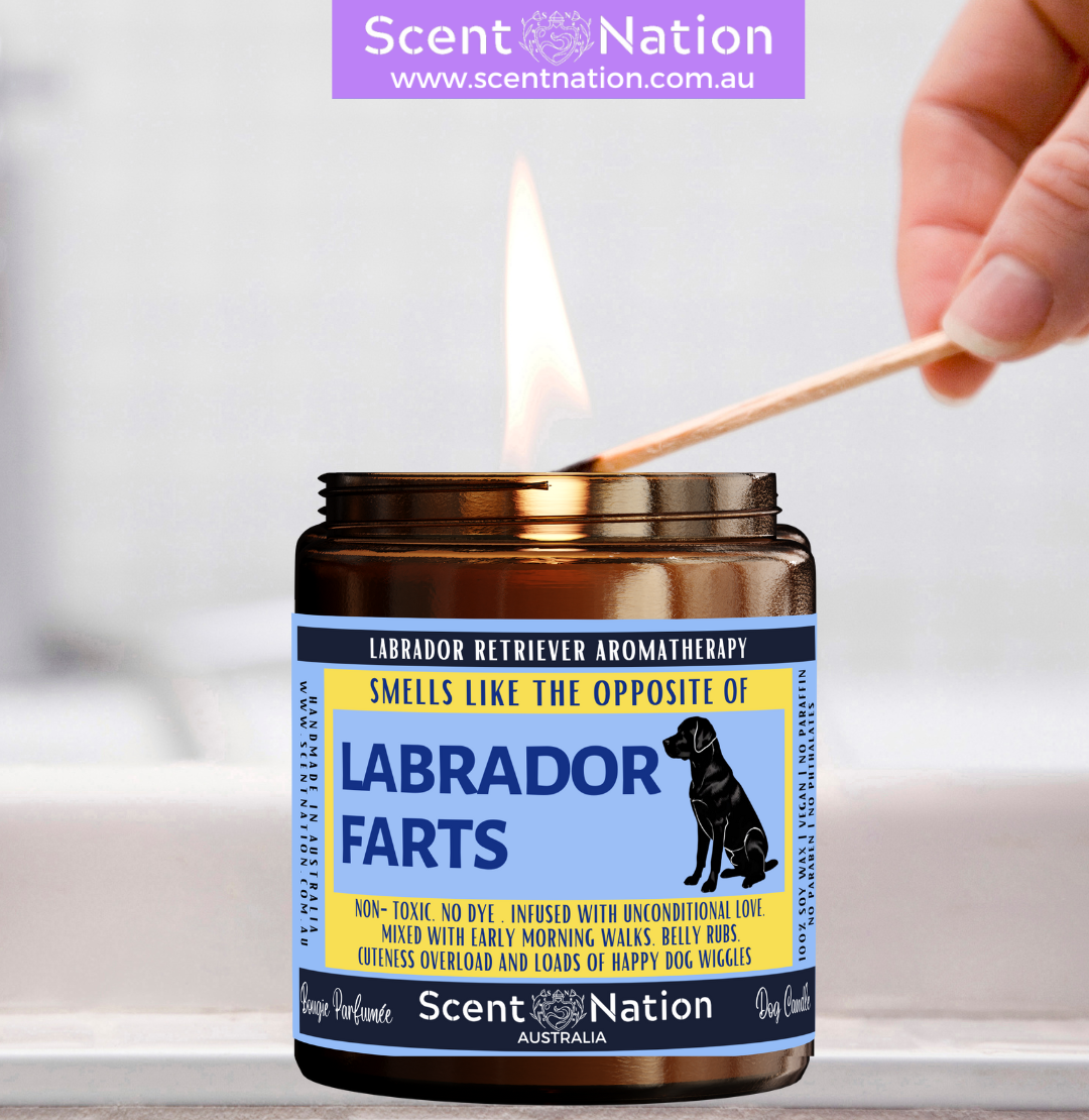 great CHRISTMAS gift for fur parents, LABRADOR          owner friends, LABRADOR          dog trainers, dog groomers
