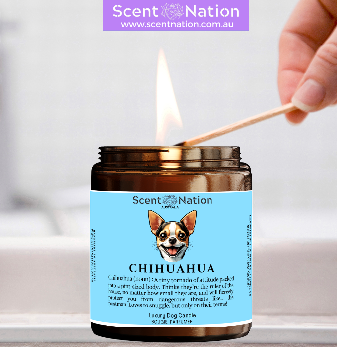 perfect gift for dog trainers, Best Dog Trainer” Soy Candle, Dog Trainer Relaxation Kit