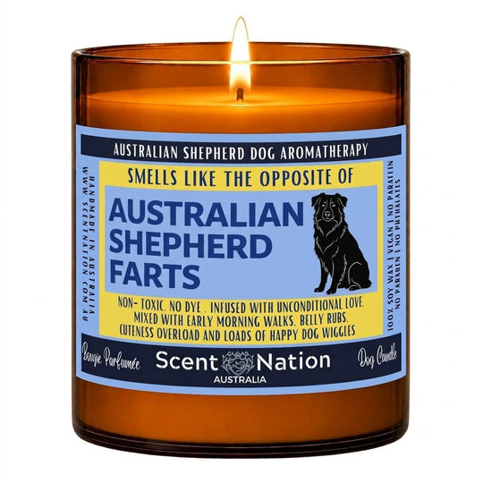 Australian Shepherd gifts: Australian Shepherd Farts aromatherapy candle, Large 285g amber soy jar with a blue and yellow label and a sitting dog silhouette, Scent Nation Australia