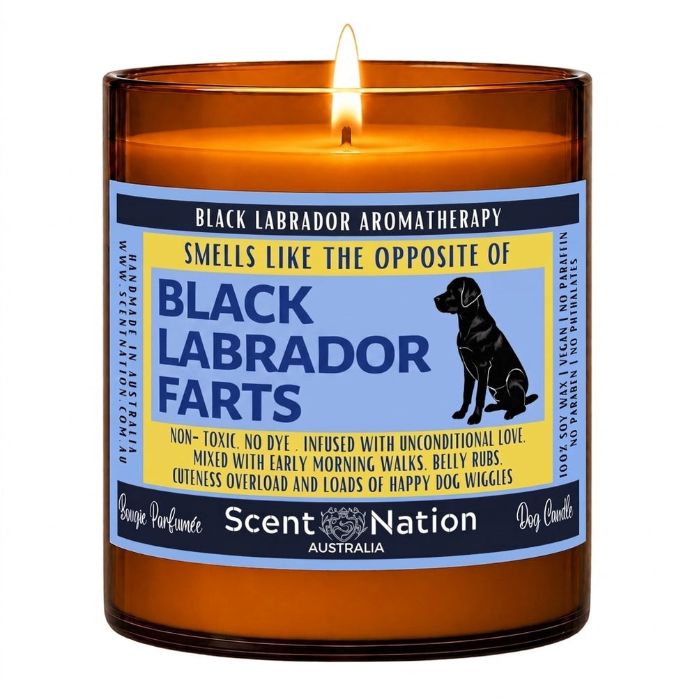 Black Labrador gifts: Black Labrador Farts aromatherapy candle, Large 285g amber soy jar with a blue and yellow label and a sitting black Labrador, Scent Nation Australia