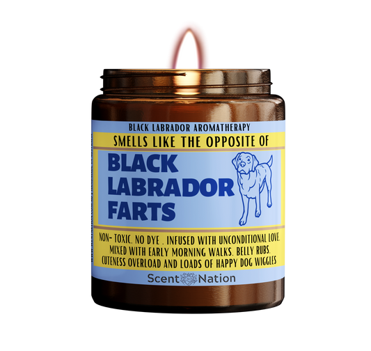 Dog candles, Dog fart Candles Australia, Black Labrador candle, Black labrador gifts