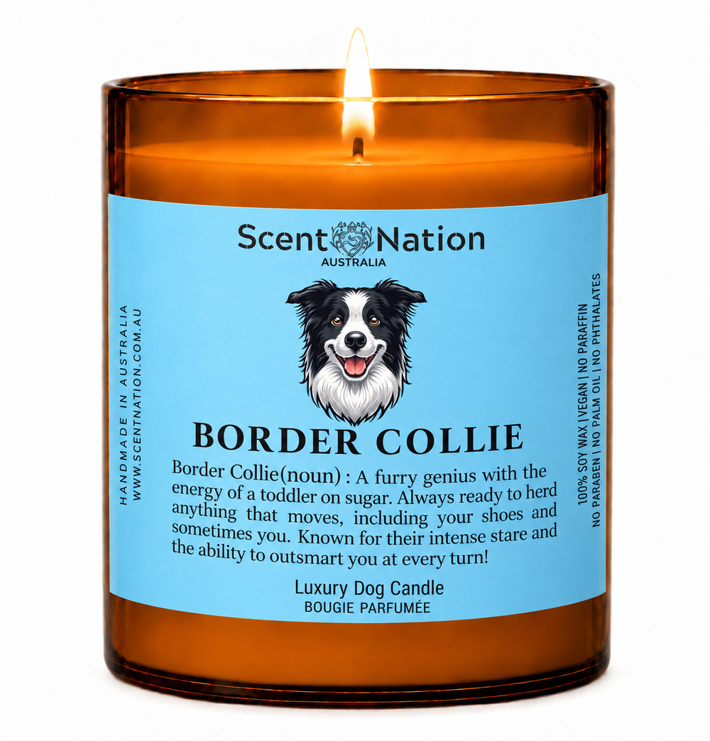 Border Collie gifts: Border Collie dog candle, Large 285g amber soy jar with a blue label, a cartoon Border Collie and a funny dog-noun definition, Scent Nation Australia