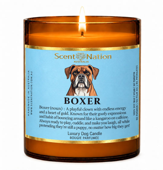 Boxer dog gifts: Boxer dog candle, Large 285g amber soy jar with a blue gold-foiled label, a cartoon Boxer and a funny dog-noun definition, Scent Nation Australia