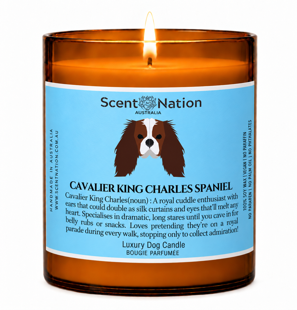 Cavalier gifts: Cavalier King Charles Spaniel dog candle, Large 285g amber soy jar with a blue label, a cartoon Cavalier and a funny dog-noun definition, Scent Nation Australia