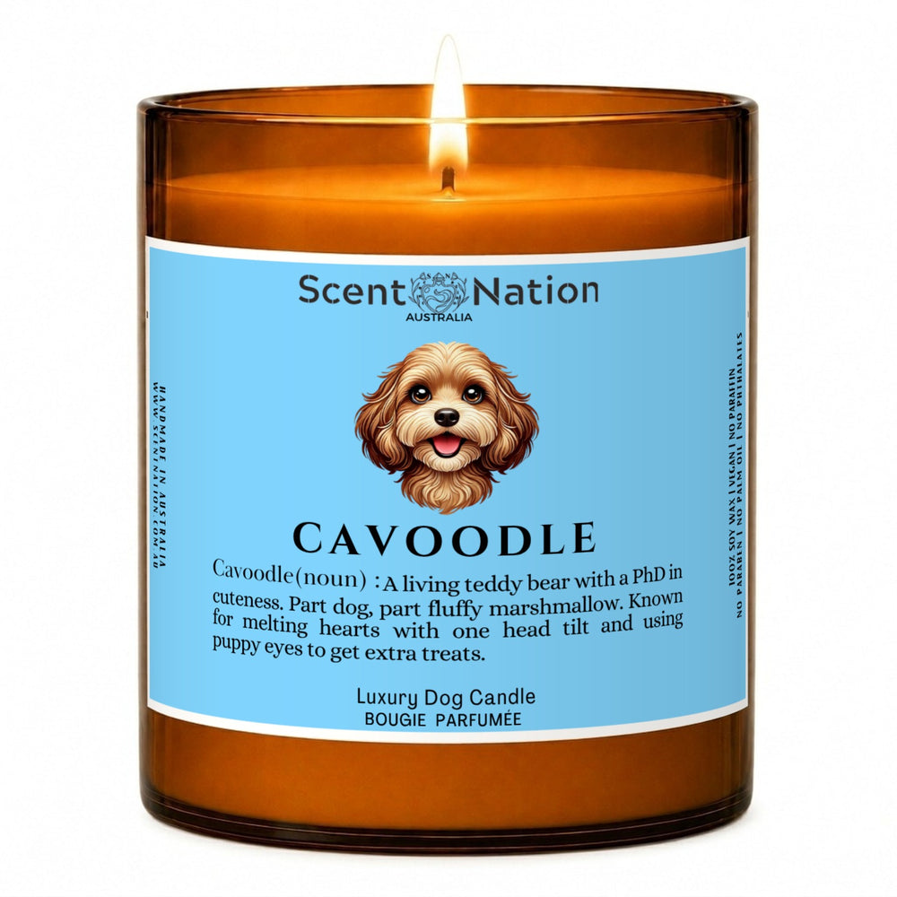 Cavoodle gifts: Cavoodle dog-noun candle, Large 285g amber soy jar with a blue label, a cartoon Cavoodle and a funny dog-noun definition, Scent Nation Australia