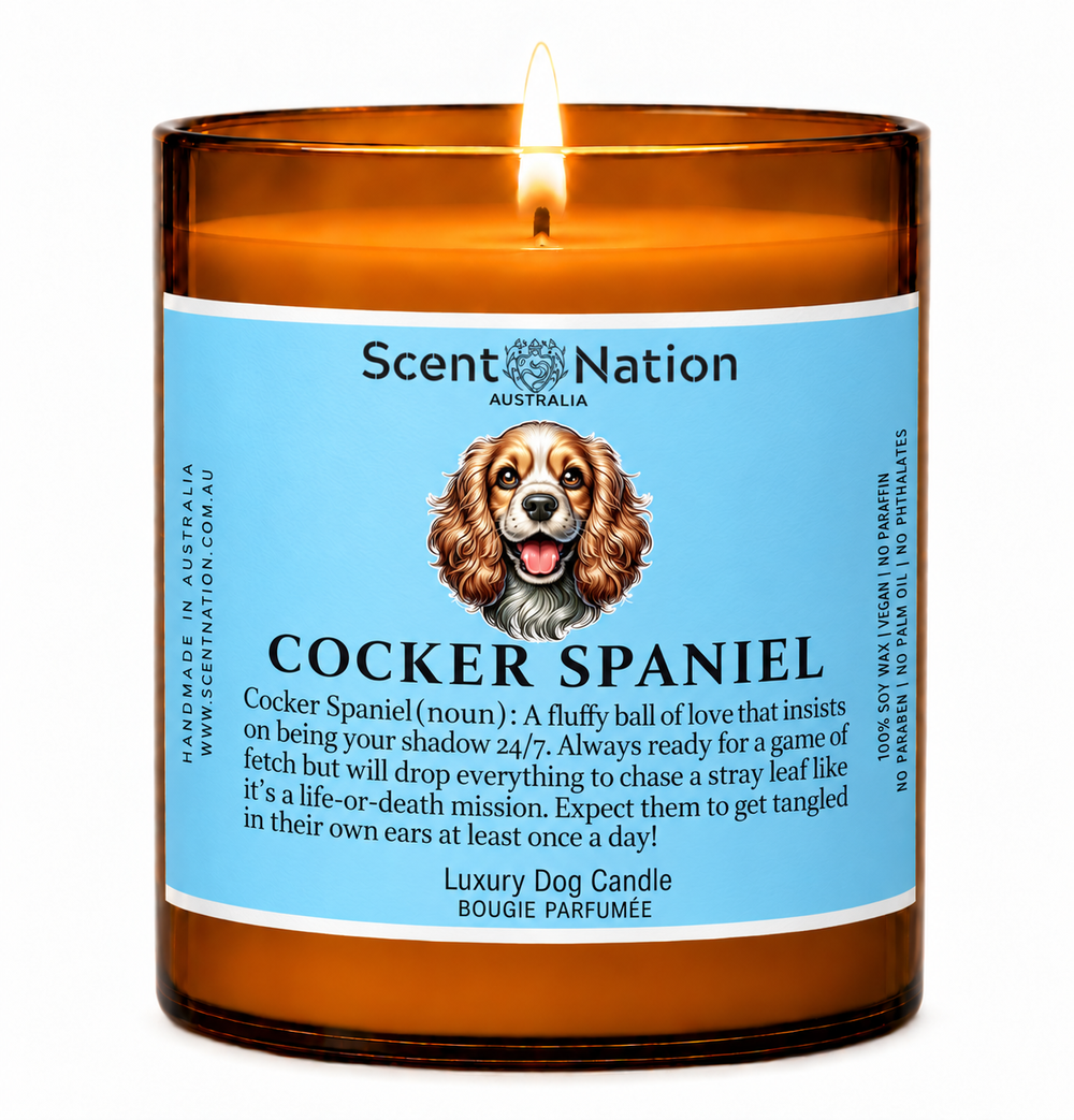 Cocker Spaniel gifts: Cocker Spaniel dog candle, Large 285g amber soy jar with a blue label, a cartoon Cocker Spaniel and a funny dog-noun definition, Scent Nation Australia