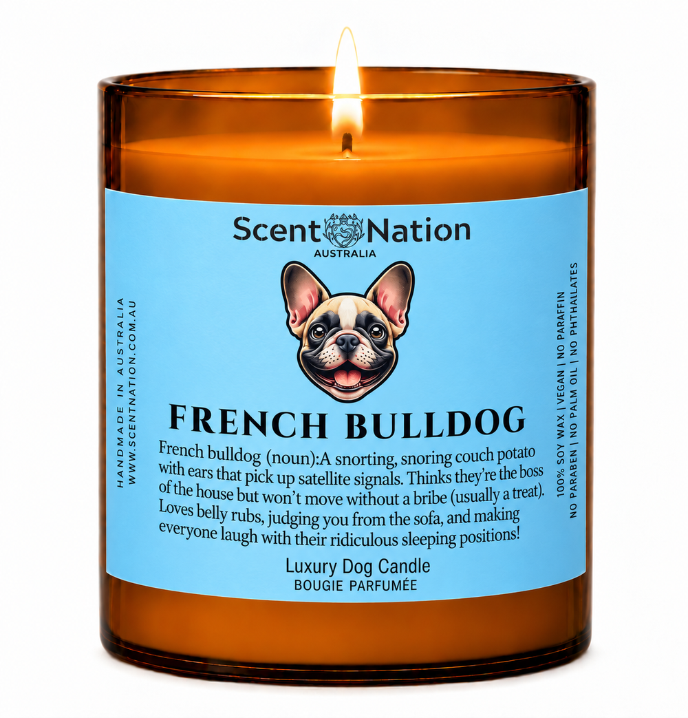 French Bulldog gifts Australia - Frenchie owner candle, a Large 285g amber soy candle with a blue French Bulldog (noun) label, Frenchie portrait and funny definition, lit on white