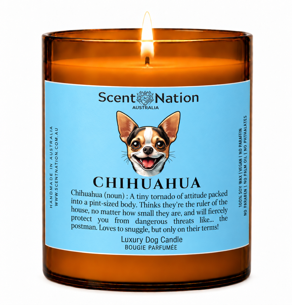 Gifts for Chihuahua owners: Chihuahua dog candle, Large 285g amber soy jar with a blue label, a cartoon Chihuahua and a funny dog-noun definition, Scent Nation Australia