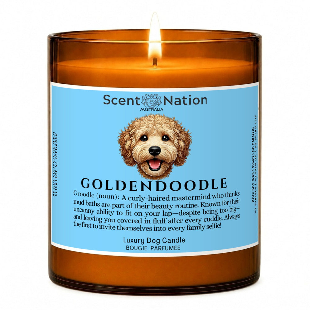 Goldendoodle and groodle gifts: Goldendoodle dog-noun candle, Large 285g amber soy jar with a blue label, a cartoon Groodle and a funny definition, Scent Nation Australia