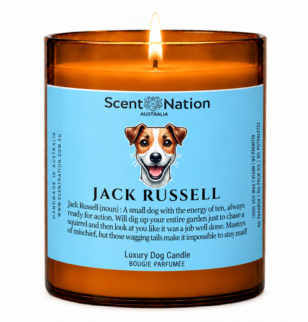 Jack Russell gifts: Jack Russell dog candle, Large 285g amber soy jar with a blue label, a cartoon Jack Russell and a funny dog-noun definition, Scent Nation Australia