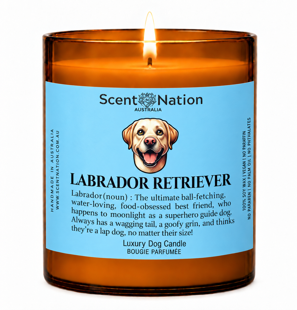 Labrador gifts: Labrador Retriever dog candle, Large 285g amber soy jar with a blue label, a cartoon Labrador and a funny dog-noun definition, Scent Nation Australia