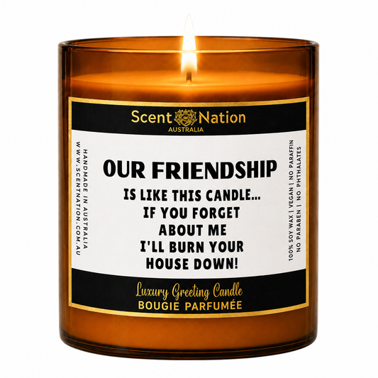 Our Friendship Is Like This Candle | Funny Gift AU