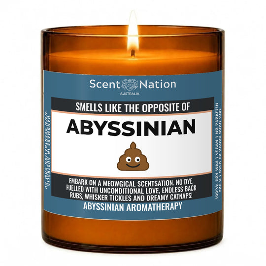 Cat lover gifts: Smells Like the Opposite of Abyssinian cat candle, personalised with any cat breed or name, Large 285g amber soy jar with a steel-blue label, Scent Nation Australia