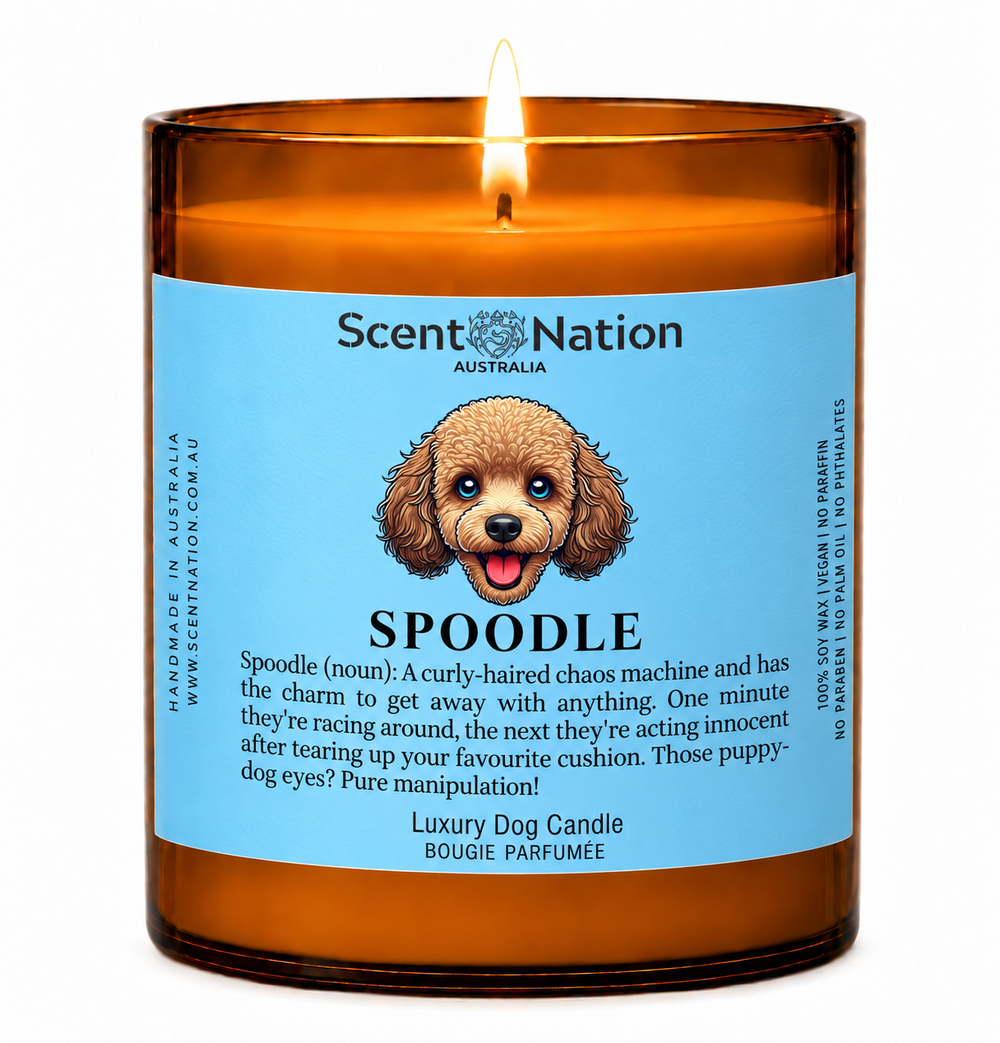 Spoodle gifts: Spoodle dog candle, Large 285g amber soy jar with a blue label, a cartoon Spoodle and a funny dog-noun definition, Scent Nation Australia